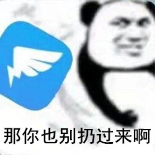 你们别恨我 表情包,网络时代的情感共鸣与幽默表达
